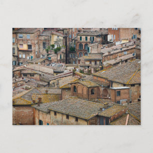 Roofs in Siena postcard