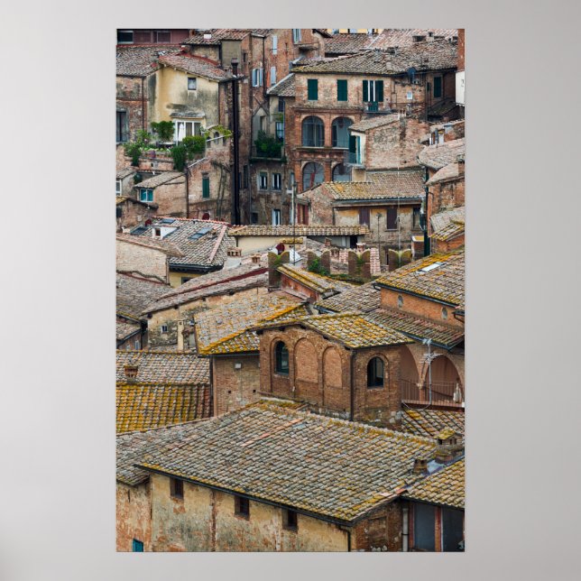 Roofs in Siena vertical poster print (Front)