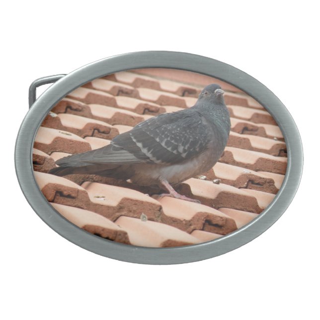 Rooftop Pigeon Belt Buckle (Front)