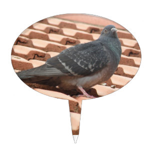 Rooftop Pigeon Cake Pick