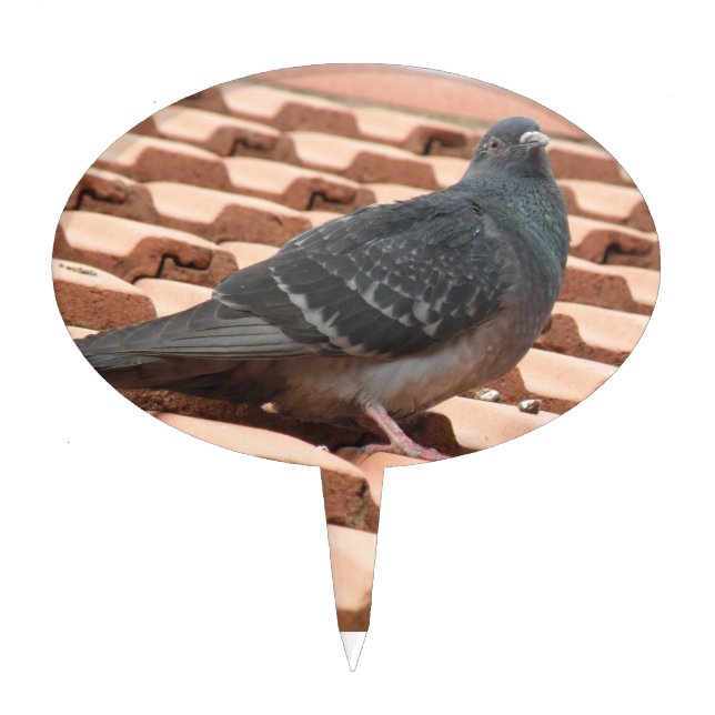 Rooftop Pigeon Cake Pick (Front)