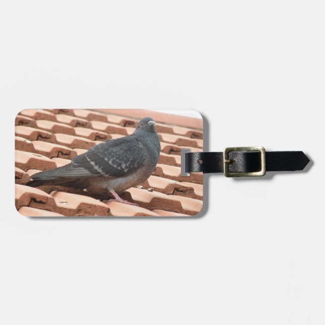 Rooftop Pigeon Custom Luggage Tag (Front Horizontal)