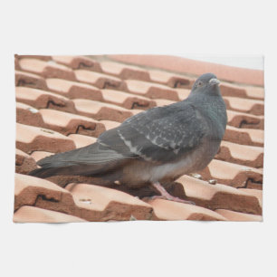 Rooftop Pigeon Kitchen Towel