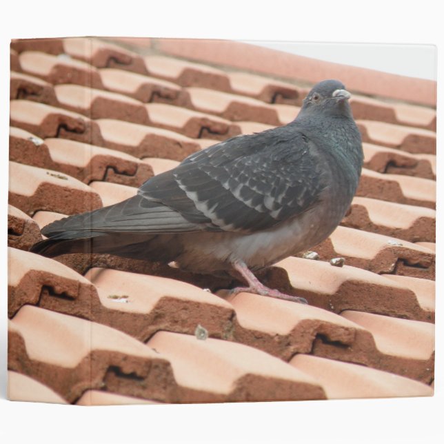 Rooftop Pigeon Photo Album 3 Ring Binder (Front/Spine)