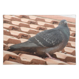 Rooftop Pigeon Placemat