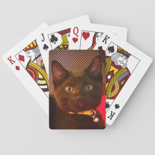 Rook Poker Cards