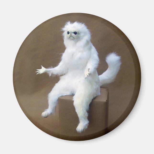 Room Guardian Meme Magnet (Front)