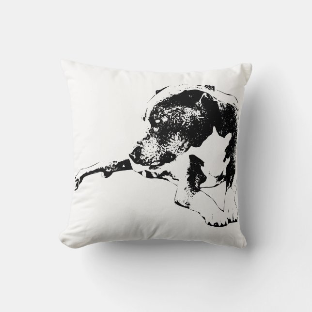 Room of Stillness Throw Pillow (Front)