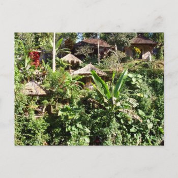 Room With A View  Ubud  Bali Indonesia Postcard by sequindreams at Zazzle