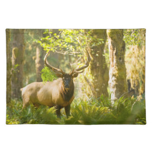 Roosevelt Elk Olympic National Park, Washington Cloth Placemat