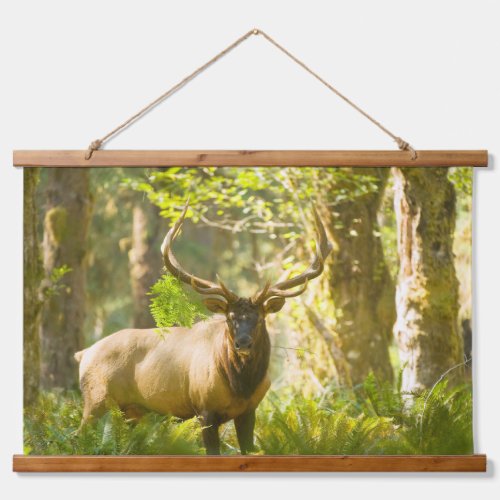 Roosevelt Elk  Olympic National Park Washington Hanging Tapestry