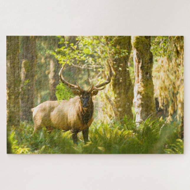 Roosevelt Elk | Olympic National Park, Washington Jigsaw Puzzle (Horizontal)