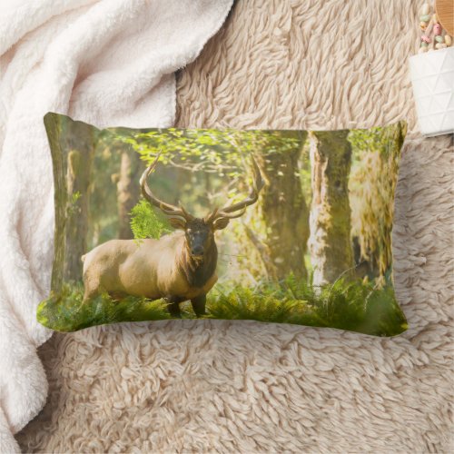Roosevelt Elk  Olympic National Park Washington Lumbar Pillow