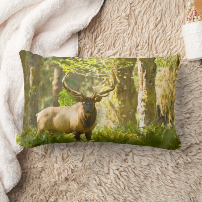 Roosevelt Elk | Olympic National Park, Washington Lumbar Pillow (Blanket)