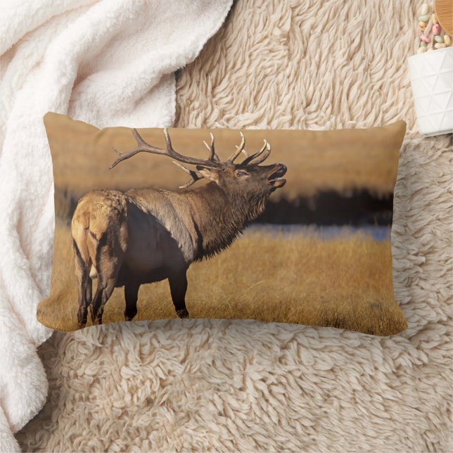 Roosevelt Eull Elk Wyoming Lumbar Pillow (Blanket)