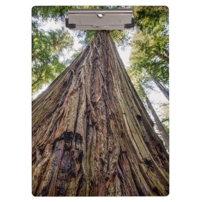 Roosevelt Grove Clipboard (Front)