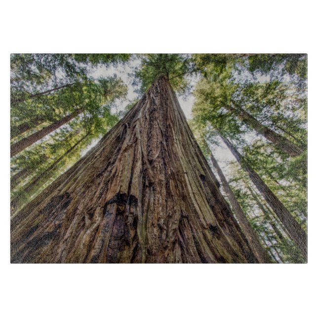 Roosevelt Grove Cutting Board (Front)