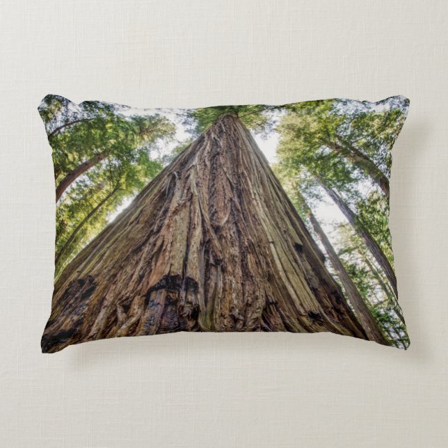 Roosevelt Grove Decorative Pillow (Front)