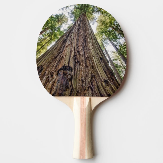 Roosevelt Grove Ping-Pong Paddle (Front)