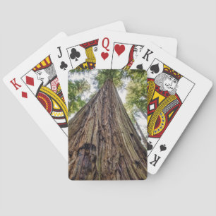 Roosevelt Grove Poker Cards