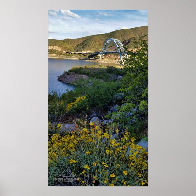 Roosevelt Lake Bridge Arizona Yellow Wildflowers Poster (Front)