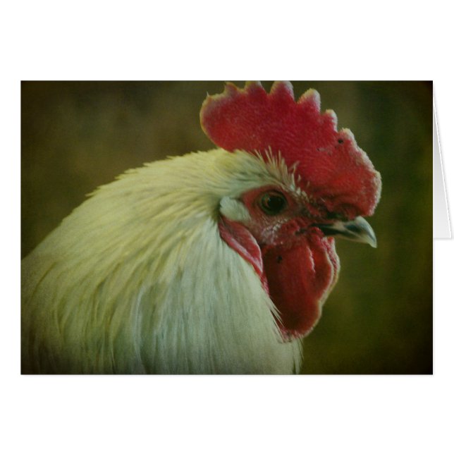 Rooster 2 cards (Front Horizontal)