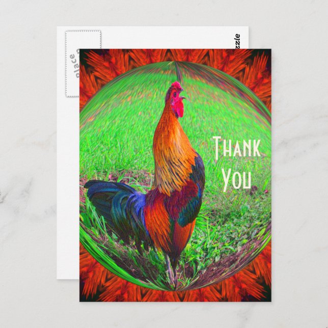 Rooster Abstract Nature Thank You Postcard (Front/Back)