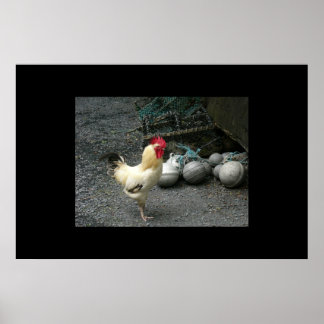 Rooster and cannon balls poster