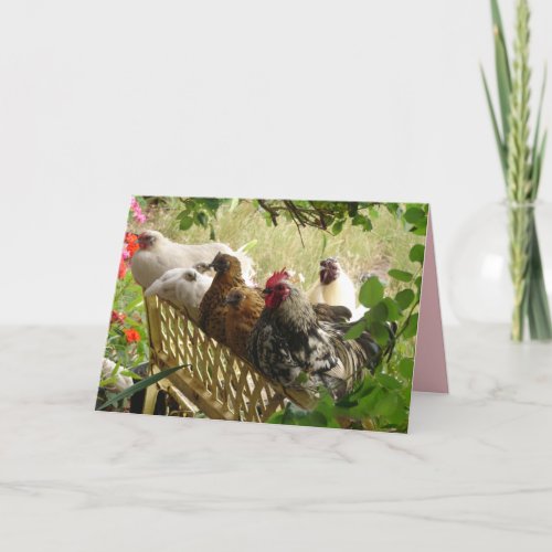 Rooster and Chickens Chook Farm Country Card
