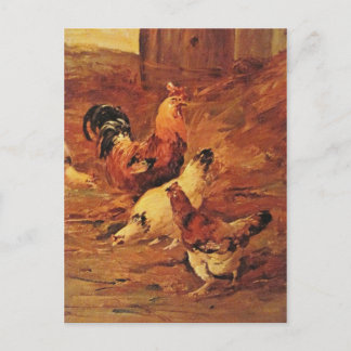 Rooster and chickens postcard