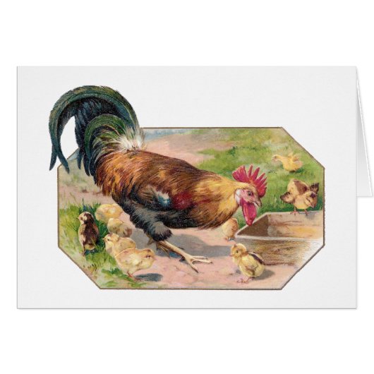 Rooster and Chicks Cards (Front Horizontal)