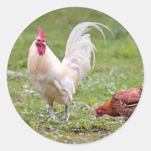 Rooster and hen classic round sticker