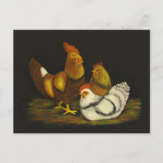 Rooster and Hens ~ postcard