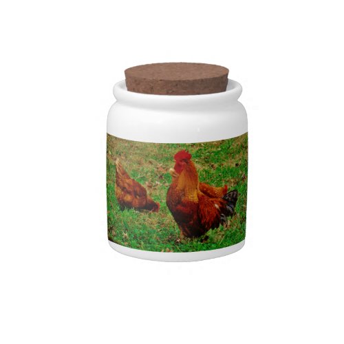 Rooster  and his chick candy jar