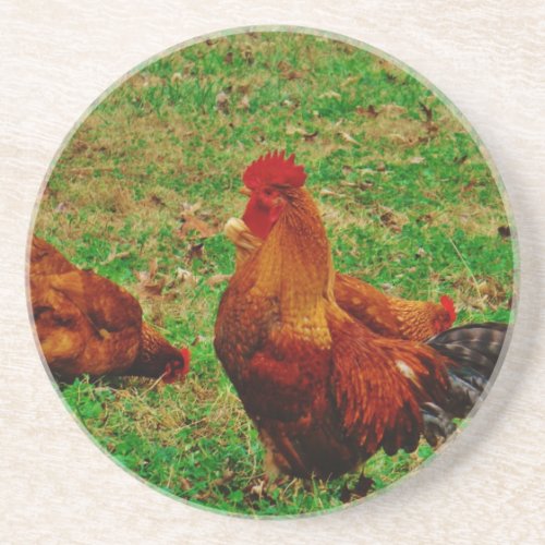 Rooster  and his chick drink coaster