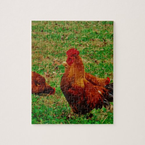 Rooster  and his chick jigsaw puzzle