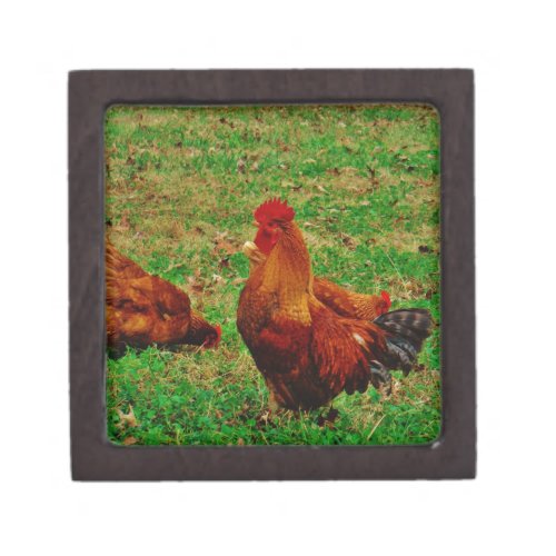 Rooster  and his chick keepsake box