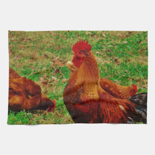 Rooster  and his chick kitchen towel