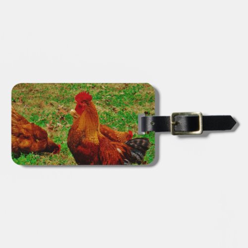 Rooster  and his chick luggage tag