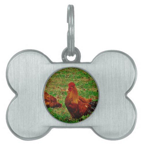 Rooster  and his chick pet tag