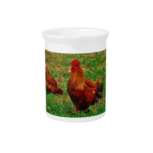 Rooster  and his chick pitcher