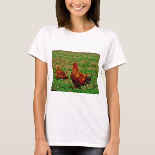 Rooster  and his chick T_Shirt