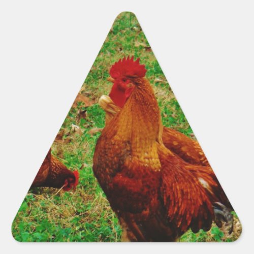 Rooster  and his chick triangle sticker