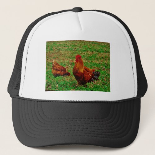 Rooster  and his chick trucker hat