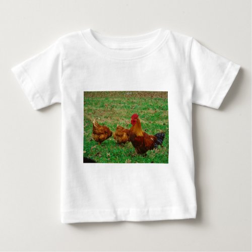 Rooster  and his Chickens Baby T_Shirt