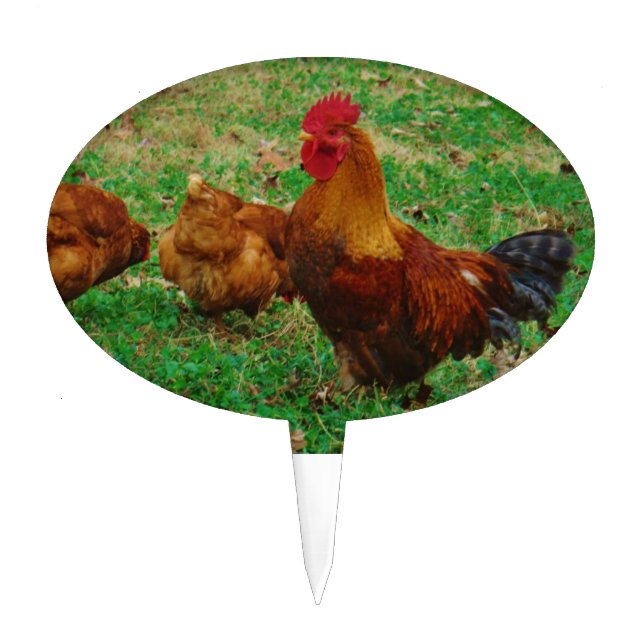 Rooster  and his Chickens Cake Topper (Front)