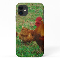 Rooster  and his Chickens iPhone 11 Case