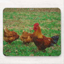 Rooster  and his Chickens Mouse Pad