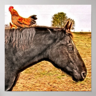 Rooster And Horse Friends Poster