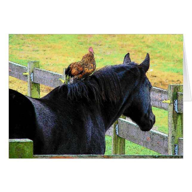 Rooster And Mare Cards (Front Horizontal)